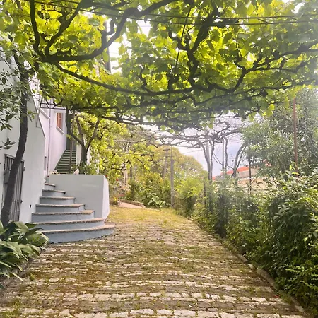 Thimjos & Ritas * Gjirokaster